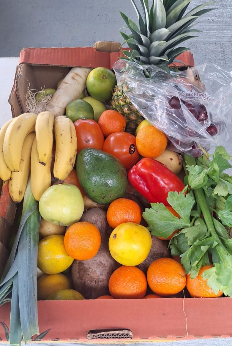 Panier de fruits débutant